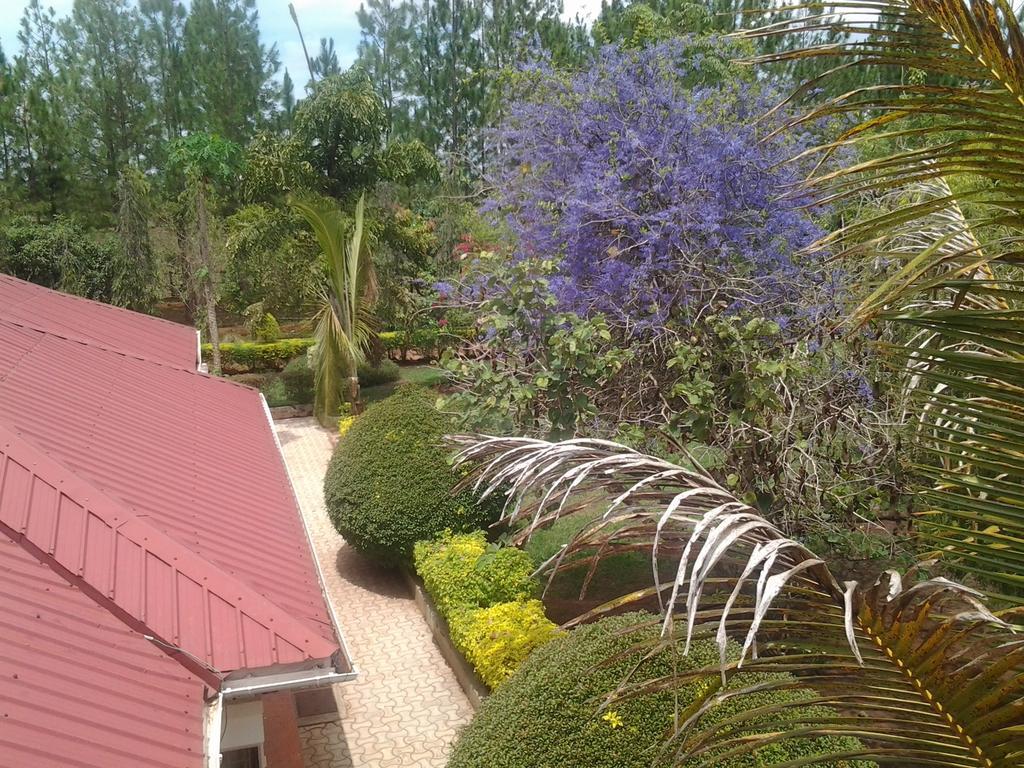 Lira Brownstone Country Home מראה חיצוני תמונה